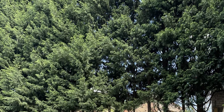 Krásné pokoje u Ústí nad Labem se snídaní až pro 4 osoby