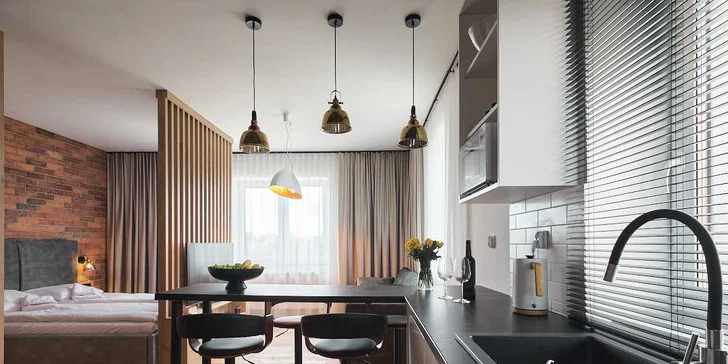 Moderní apartmány pro 2-7 os. v Kudowa Zdrój vč. snídaní či pivních lázní