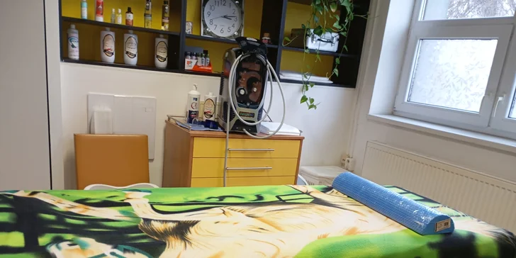 Laserová lipolýza či EMS Pelvic Plate: redukce tuku a celulitidy i zpevnění svalů pánevního dna