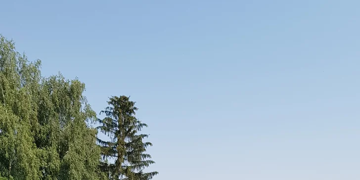 Tandemový seskok s padákem nebo základní výcvik až se 3 samostatnými seskoky