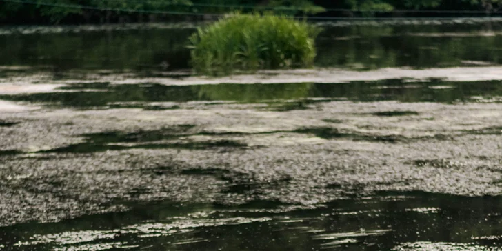 Pobyt v Kadani: snídaně či polopenze, piknik na molu i vstup do wellness