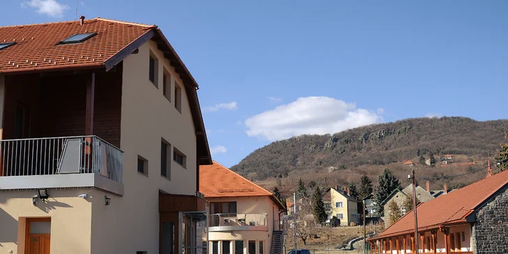 Relax u Balatonu: hotel, wellness, snídaně či polopenze, výlety po vinařské oblasti