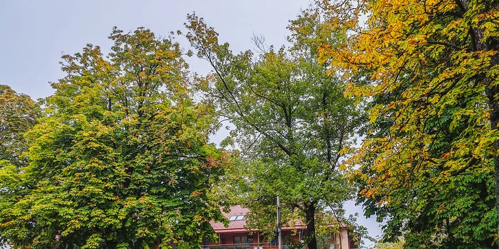 Relax u Balatonu: hotel, wellness, snídaně či polopenze, výlety po vinařské oblasti