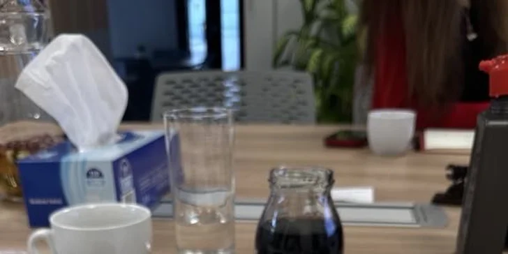 Kurz čínského malování s lektorem z Číny: pro 1 nebo 2 osoby