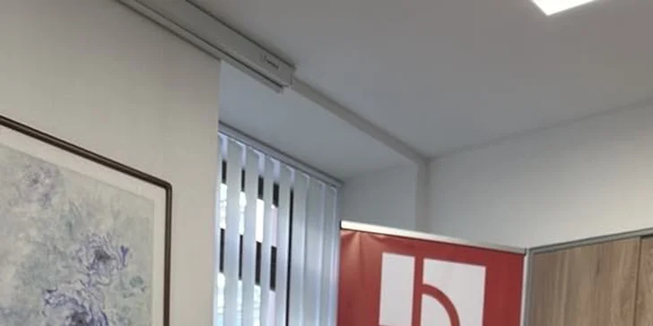 Kurz čínského malování s lektorem z Číny: pro 1 nebo 2 osoby