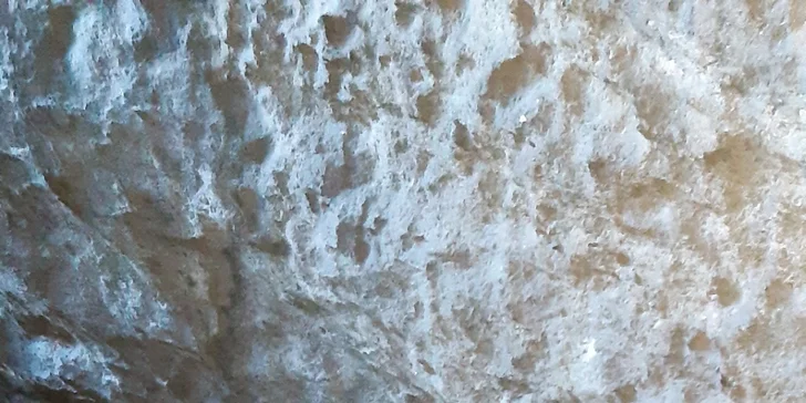 Skupinová via ferrata v Děčíně či v Saském Švýcarsku pro 1 nebo 3 osoby