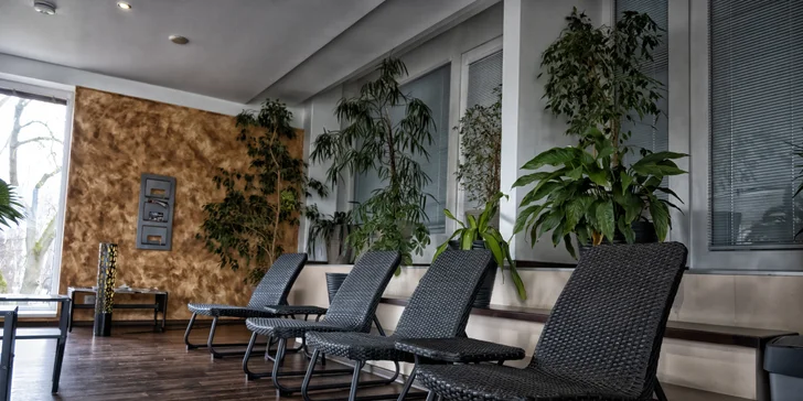 Relax na jihu Čech: neomezený vstup do wellness i masáž a snídaně