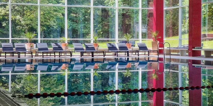 Pobyt v německém pohoří Harz: plná penze i s nápoji a wellness o rozloze 4 500 m²