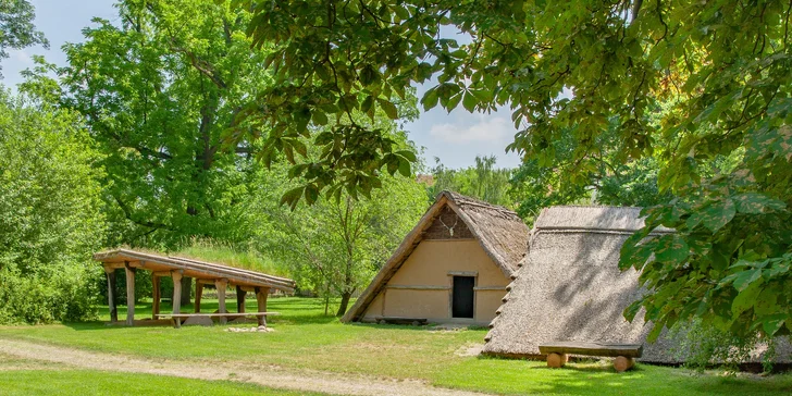 Od pravěku po středověk: skanzen a muzeum v Dolním Rakousku, program i v češtině, expozice o době ledové