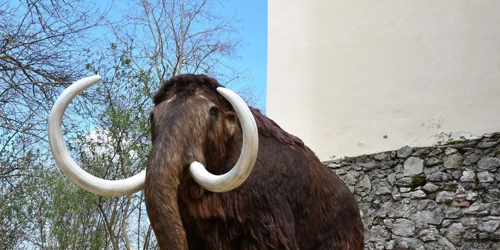 Od pravěku po středověk: skanzen a muzeum v Dolním Rakousku, program i v češtině, expozice o době ledové