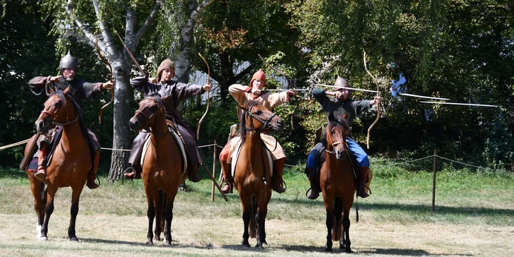 Od pravěku po středověk: skanzen a muzeum v Dolním Rakousku, program i v češtině, expozice o době ledové