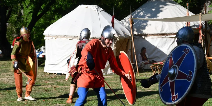 Od pravěku po středověk: skanzen a muzeum v Dolním Rakousku, program i v češtině, expozice o době ledové