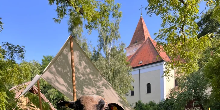 Od pravěku po středověk: skanzen a muzeum v Dolním Rakousku, program i v češtině, expozice o době ledové