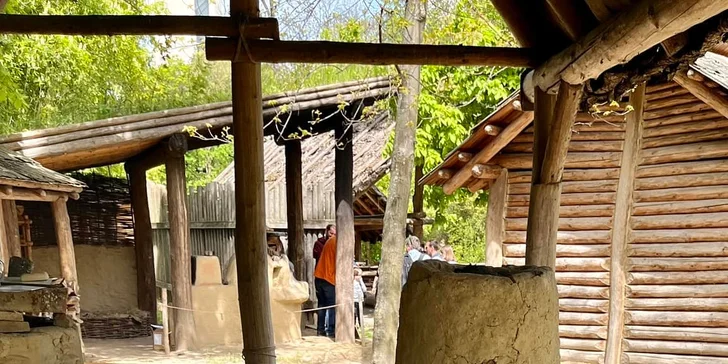 Od pravěku po středověk: skanzen a muzeum v Dolním Rakousku, program i v češtině, expozice o době ledové