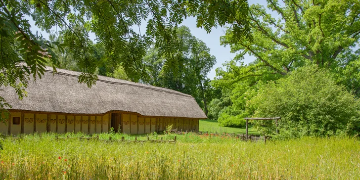 Od pravěku po středověk: skanzen a muzeum v Dolním Rakousku, program i v češtině, expozice o době ledové