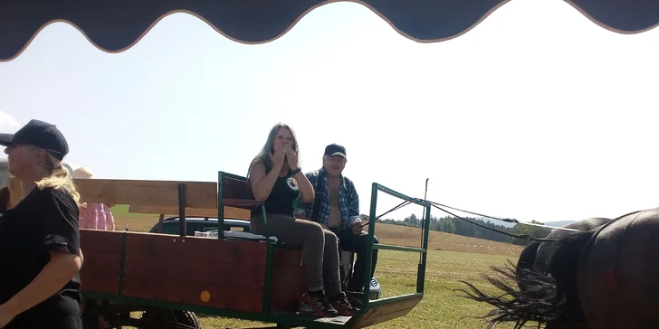Jízda koňským povozem v přírodě u Domažlic pro děti i dospělé