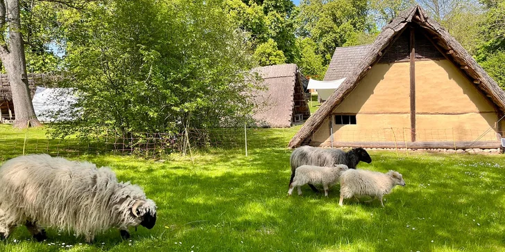 Od pravěku po středověk: skanzen a muzeum v Dolním Rakousku, program i v češtině, expozice o době ledové