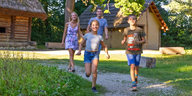 Od pravěku po středověk: skanzen a muzeum v Dolním Rakousku, program i v češtině, expozice o době ledové