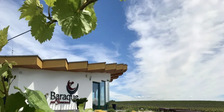 Vinařství Baraque ve Velkých Pavlovicích: degustace vína a tapas pro dva