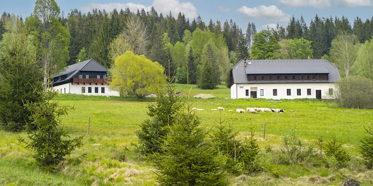 Útulné apartmány na Šumavě až pro 6 osob: snídaně i finská sauna