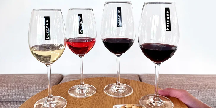 Vinařství Baraque ve Velkých Pavlovicích: degustace vína a tapas pro dva
