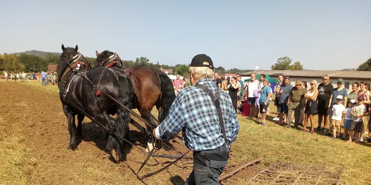 Jízda koňským povozem v přírodě u Domažlic pro děti i dospělé
