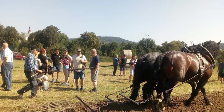 Jízda koňským povozem v přírodě u Domažlic pro děti i dospělé