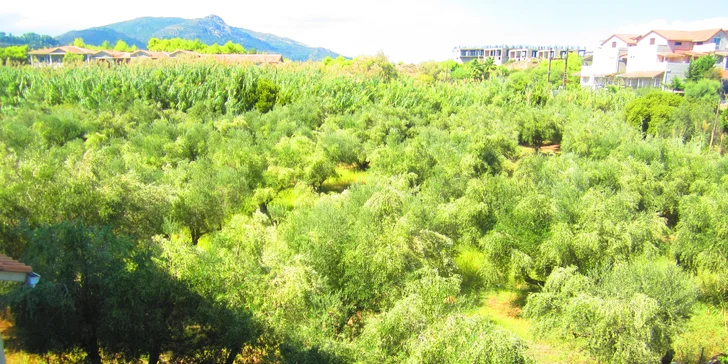 Letecký zájezd na Zakynthos: penzion Christina 100 m od pláže, možnost snídaní i bazénu