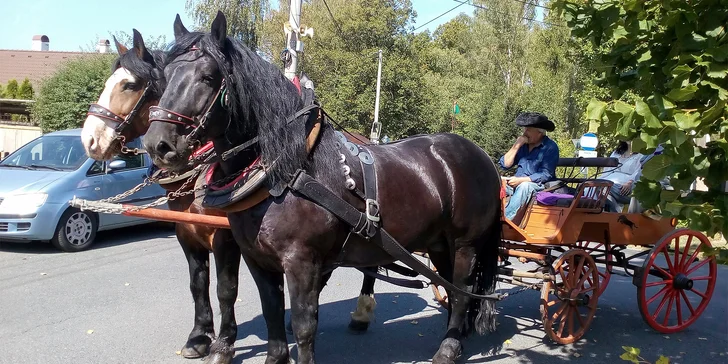 Jízda koňským povozem v přírodě u Domažlic pro děti i dospělé