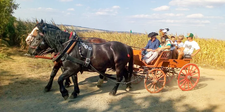 Jízda koňským povozem v přírodě u Domažlic pro děti i dospělé