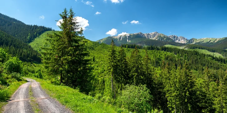 Pobyt v Liptovském Jánu s polopenzí, wellness i pronájmem tenisového kurtu