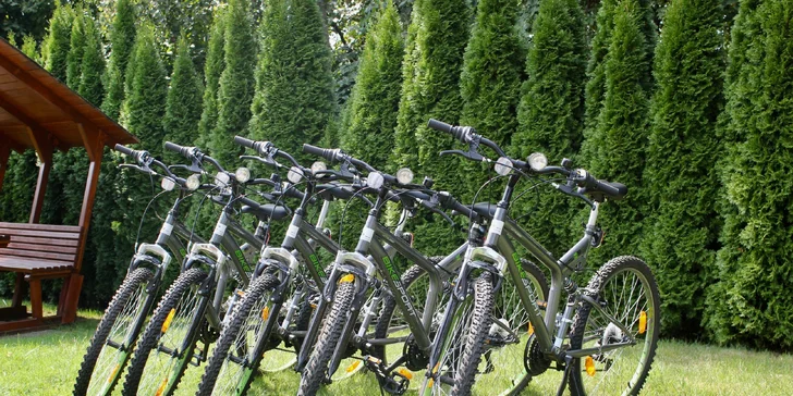 Rodinná dovolená v Korutanech: 3* hotel u jezera Klopeiner, soukromá pláž, snídaně