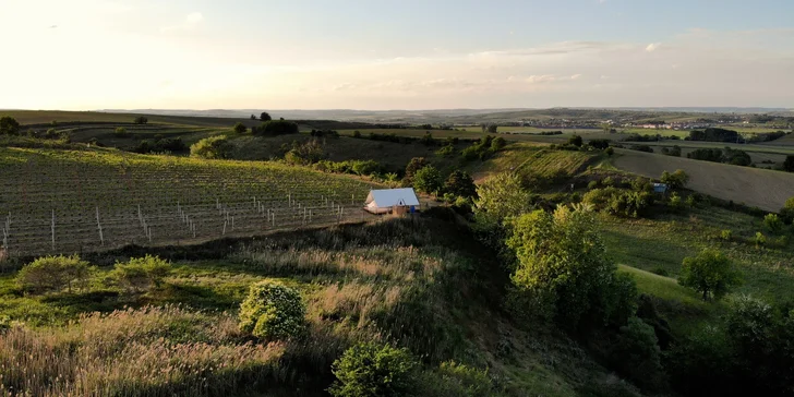 Glamping na Slovácku: ubytování až pro 4 os. ve stanu na kopečku u vinohradu, balíček s moravským vínem