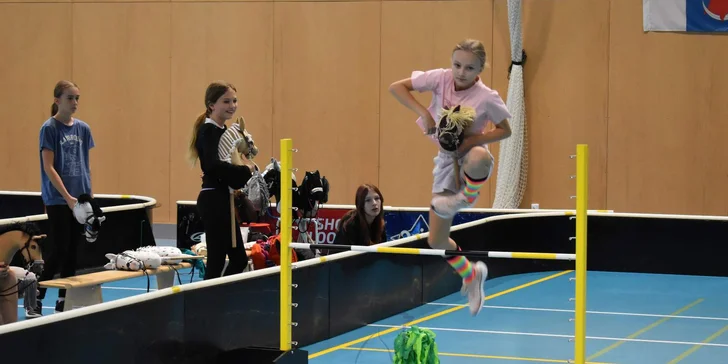 Parkur, drezura i western: individuální a skupinové lekce hobby horsingu pro 1 i 2 osoby