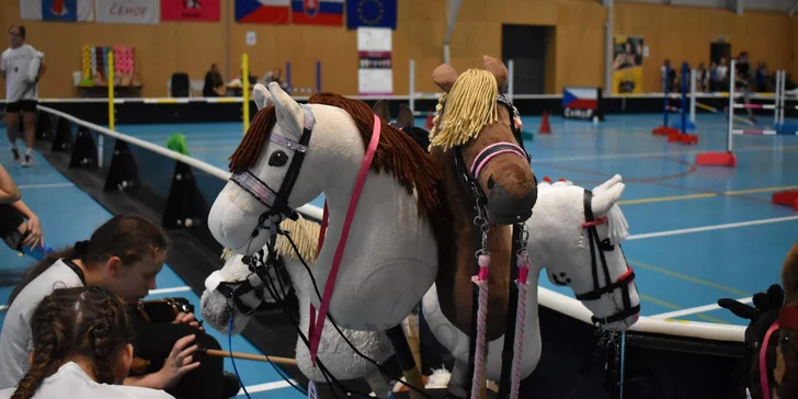 Parkur, drezura i western: individuální a skupinové lekce hobby horsingu pro 1 i 2 osoby