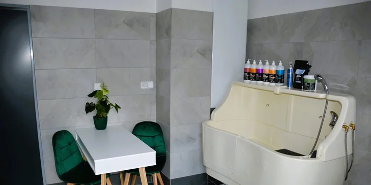 Dentální hygiena pro psy: odstranění plaku, zubního kamene i leštění zubů