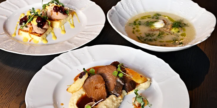 Degustační menu v restauraci Talíř: 3chodové, 4chodové pro vegetariány i neomezené nápoje