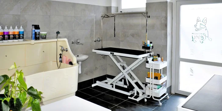 Dentální hygiena pro psy: odstranění plaku, zubního kamene i leštění zubů