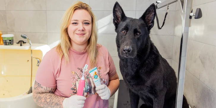 Dentální hygiena pro psy: odstranění plaku, zubního kamene i leštění zubů