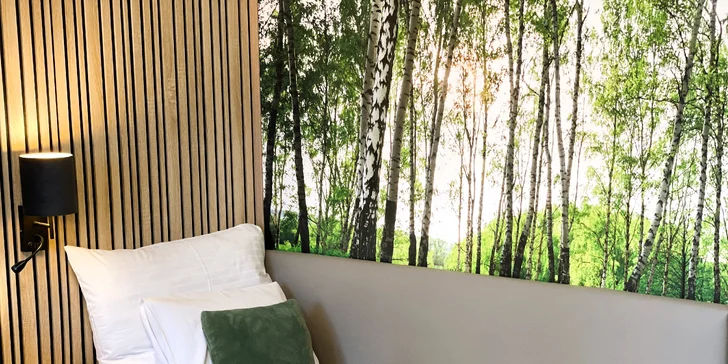 Pobyt u zámeckého parku s Konopištěm na dosah. Snídaně či polopenze i vstup do wellness