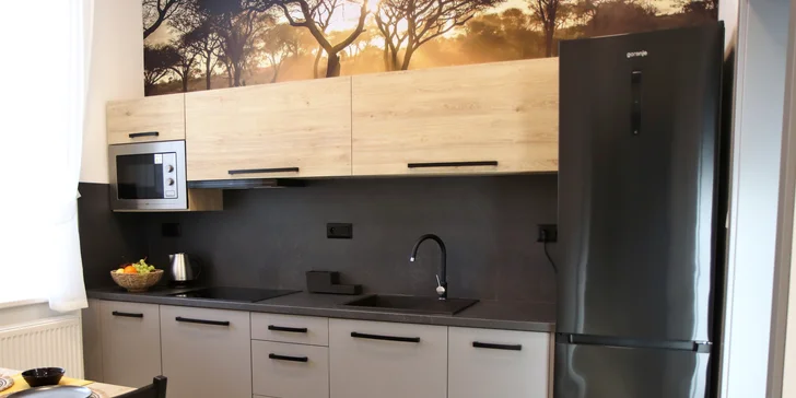 Moderní apartmány v Karlově pod Pradědem, vč. snídaně či polopenze i vlastní kuchyňky