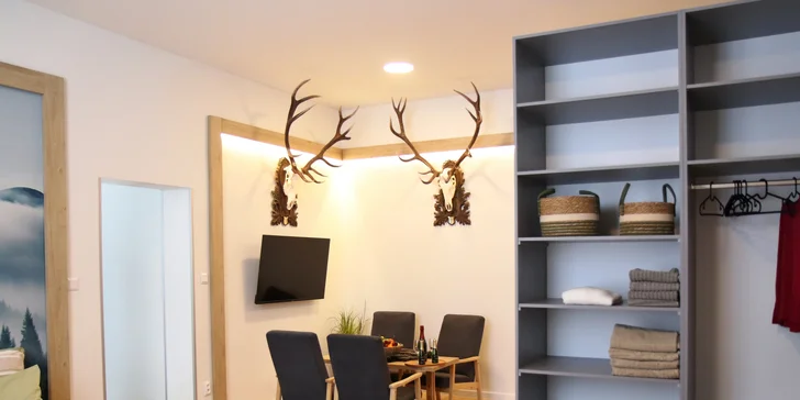 Moderní apartmány v Karlově pod Pradědem, vč. snídaně či polopenze i vlastní kuchyňky