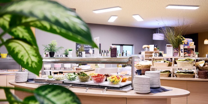 Poznejte Vídeň: 4* hotel v širším centru, snídaně, výlety do zoo i muzea iluzí
