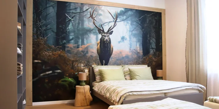 Moderní apartmány v Karlově pod Pradědem, vč. snídaně či polopenze i vlastní kuchyňky