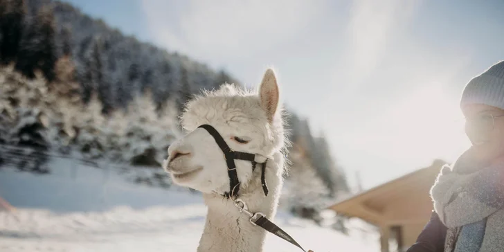 Údolí Grossarl: neomezeně wellness, polopenze s 5chodovými večeřemi, horští průvodci i alpaky