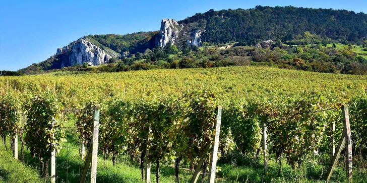 Pobyt ve vinařství v Klentnici: welcome drink i možnost snídaně