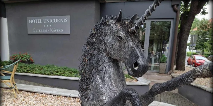 Wellness a pohodlí v maďarském Egeru: snídaně, polopenze, vstup do lázní i láhev vína