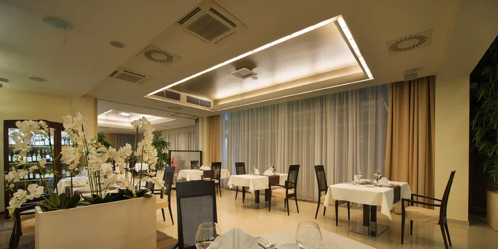 Luxusní pobyt v Hluboké nad Vltavou: 5* hotel u zámku s wellness a jídlem