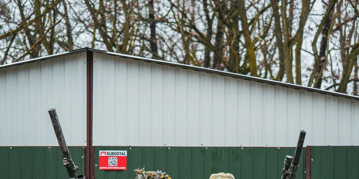 Veřejný airsoft: vstup na sdílenou hru pro 1–7 osob nebo soukromý pronájem