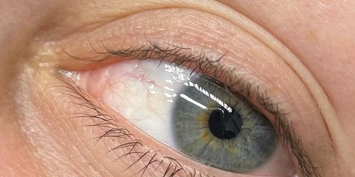 Smyslné řasy a obočí: lash lifting či laminace obočí i včetně barvení